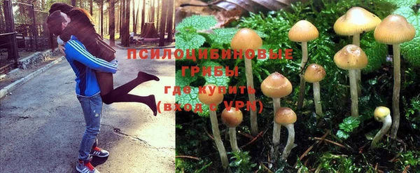 прущая мука Богородск