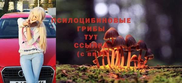 прущая мука Богородск